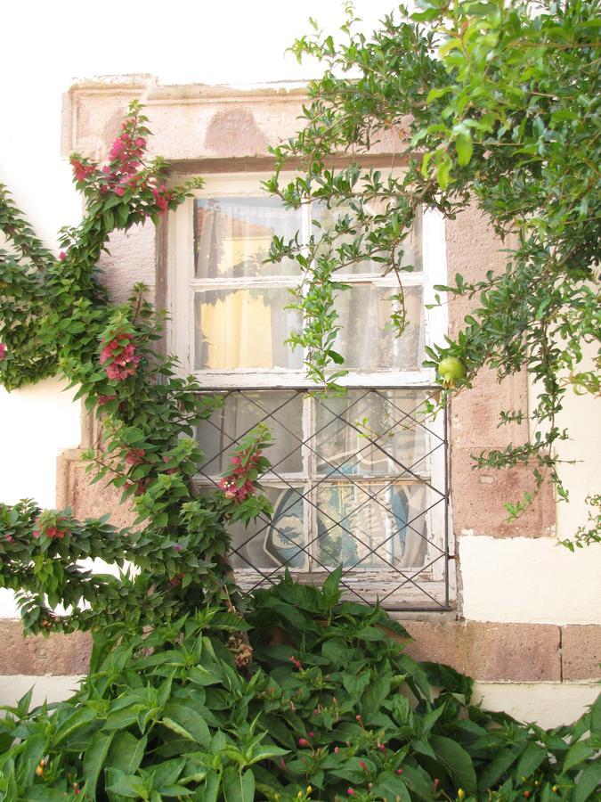 Eolos House Cunda Айвалик Екстер'єр фото